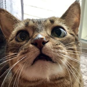 Meet your Posher, Jordan